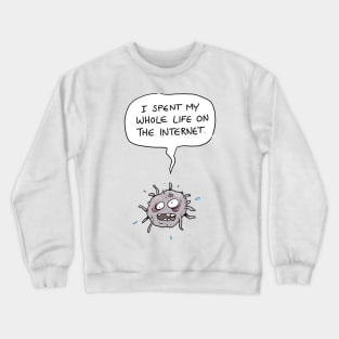 I Spent My Whole Life on the Internet Crewneck Sweatshirt